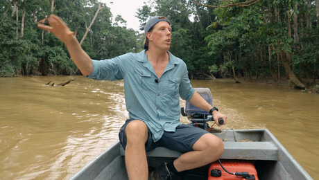 Freeks Wilde Wereld | Dobberen met dwergolifanten